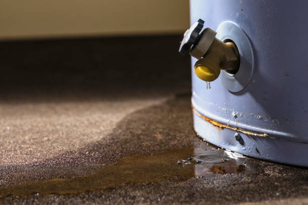 Best Commercial water damage restoration  in Ruston, LA