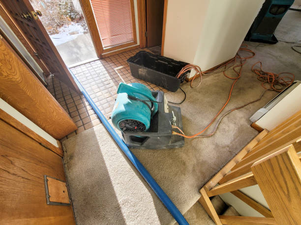 Best Professional water damage repair  in Ruston, LA